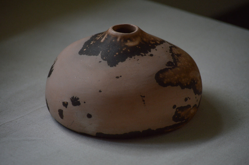 Terrestre: Pumpo 1
