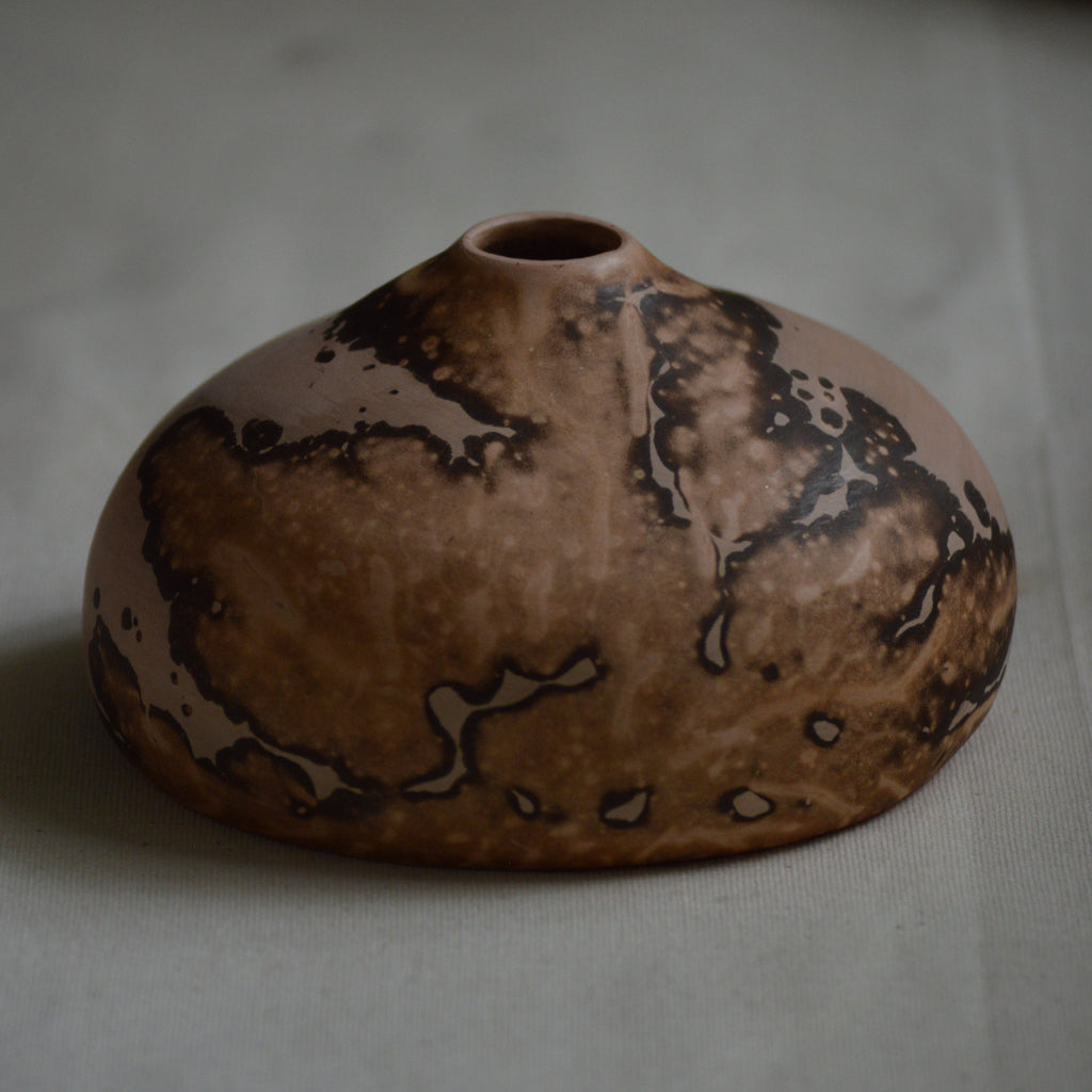 Terrestre: Pumpo 1