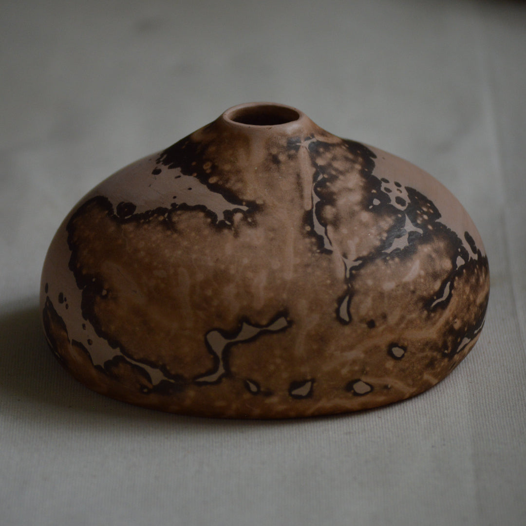 Terrestre: Pumpo 1