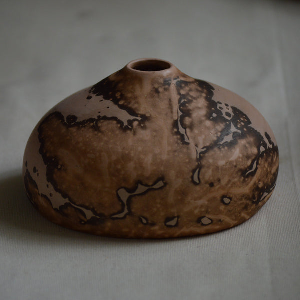 Terrestre: Pumpo 1